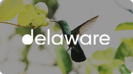 delaware-customer-story-leaseweb.png delaware-customer-story-leaseweb.png